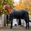 Horseware Autumn Cooler - Black/Aqua/Silver